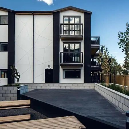 Cozy 1Br Apartment With Hagley Park View Christchurch Exterior photo