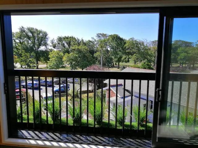 Cozy 1Br Apartment With Hagley Park View Christchurch Exterior photo